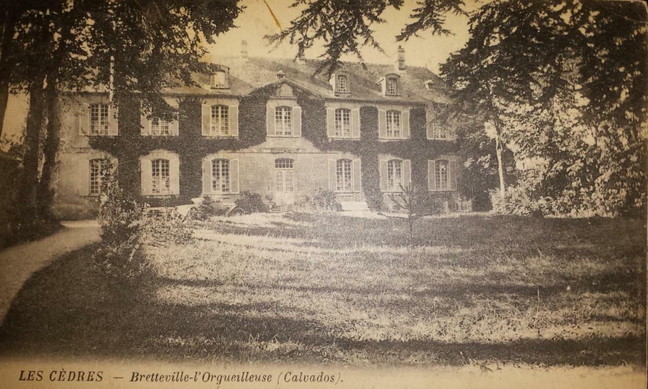 Bed&Breakfast Chateau Les Cèdres Bretteville-l'Orgueilleuse Extérieur photo